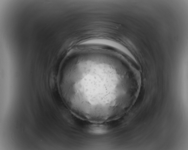 X0000086780169200704201831