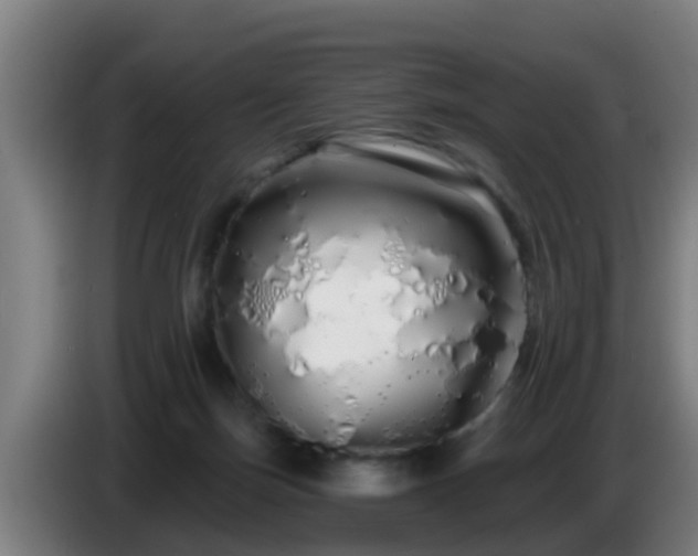 X0000086780171200704201831