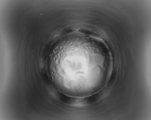 X0000086780173200704201831