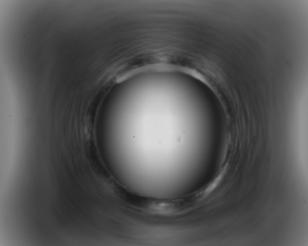 X0000086780174200704201831