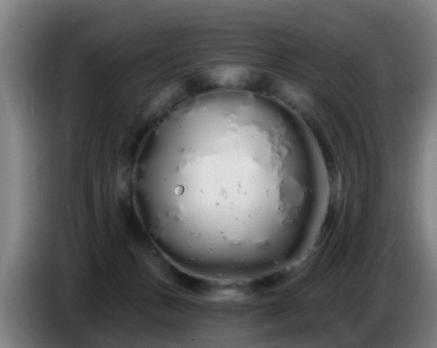 X0000086780175200704201831