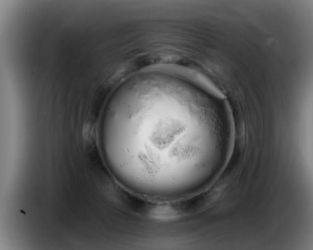 X0000086780177200704201831