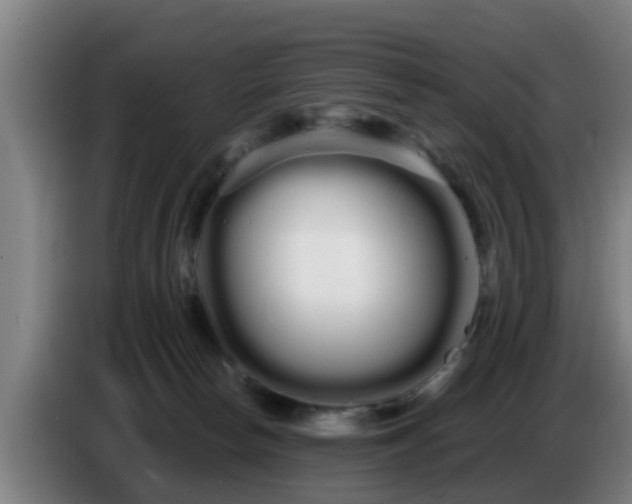 X0000086780178200704201831