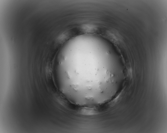 X0000086780179200704201831