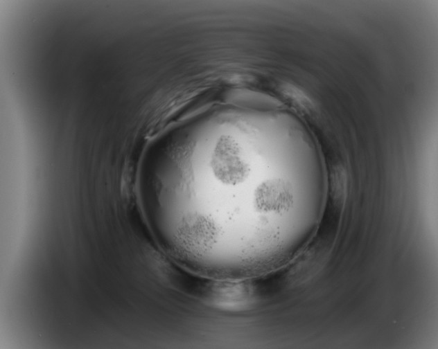 X0000086780181200704201831