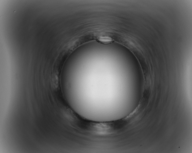 X0000086780183200704201831