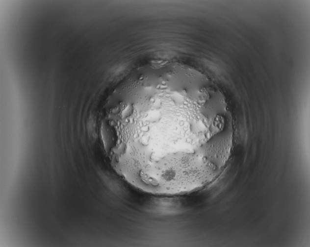 X0000086780187200704201831