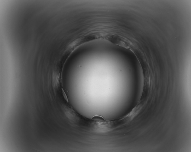 X0000086780188200704201831