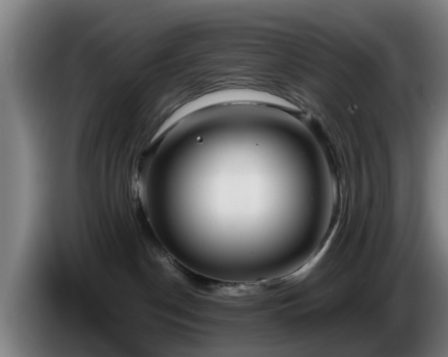 X0000086780190200704201831