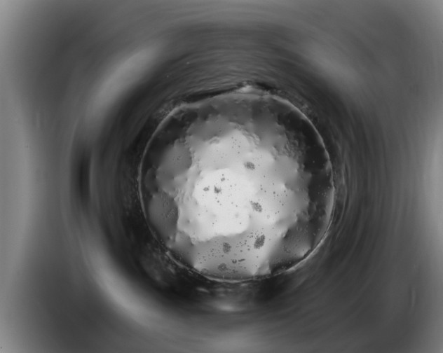 X0000086780191200704201831