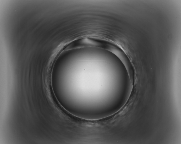 X0000086780193200704201831