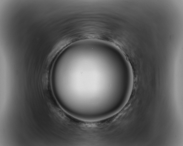 X0000086780194200704201831