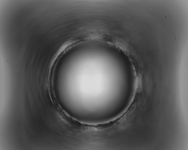 X0000086780195200704201831