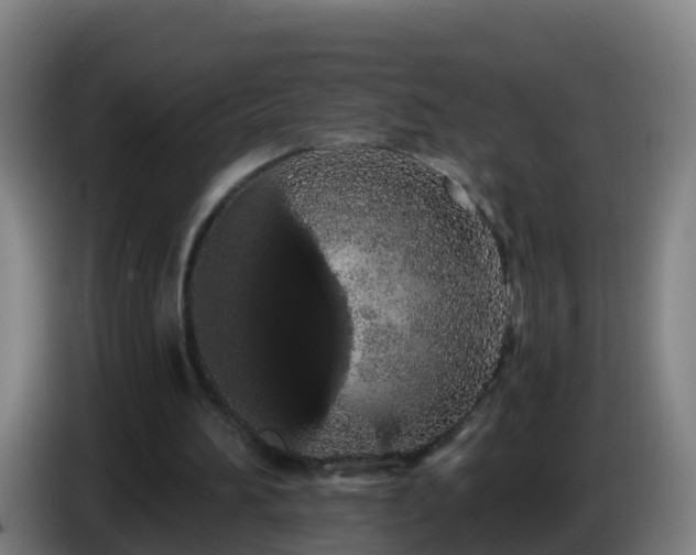 X0000086780196200704201831