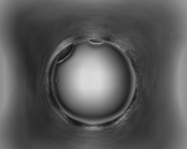 X0000086780198200704201831