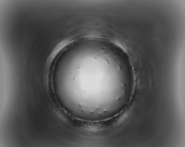 X0000086780199200704201831