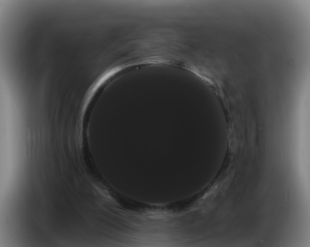 X0000086780200200704201831