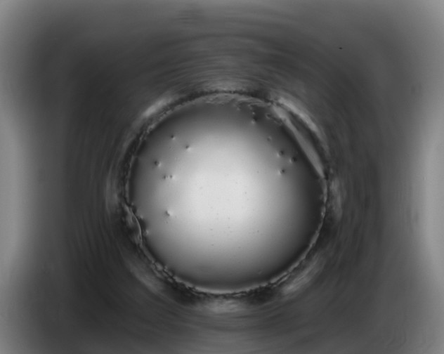 X0000086780203200704201830