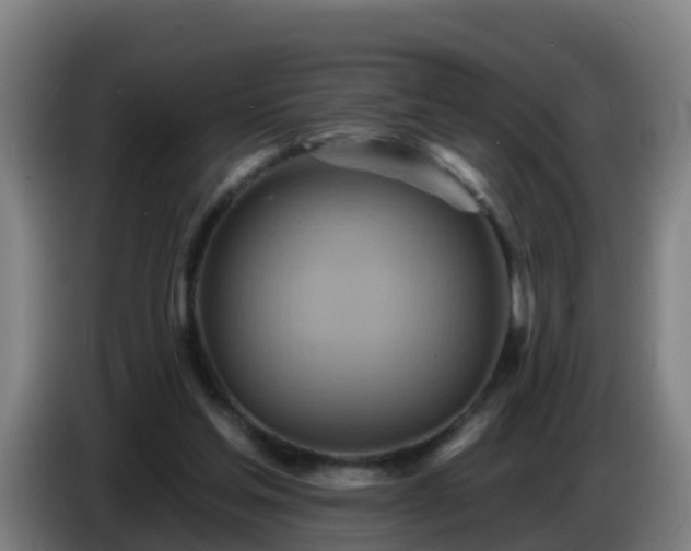 X0000086780205200704201830