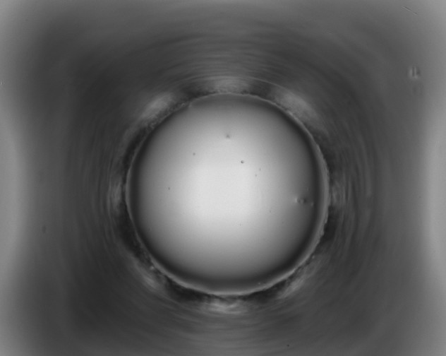 X0000086780206200704201830