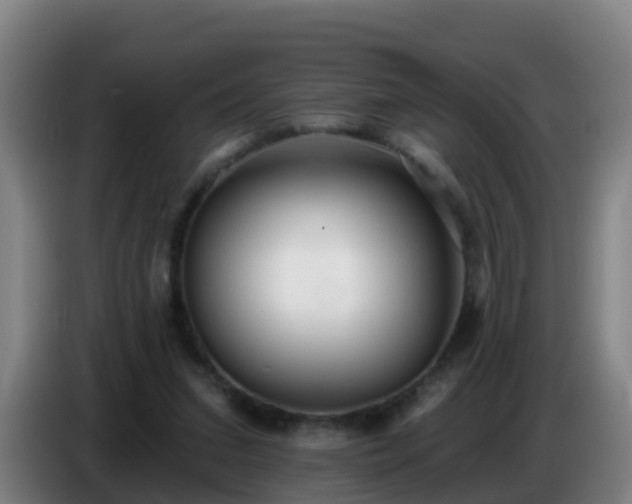 X0000086780207200704201830