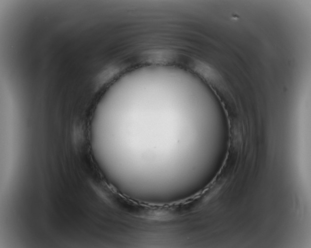 X0000086780208200704201830