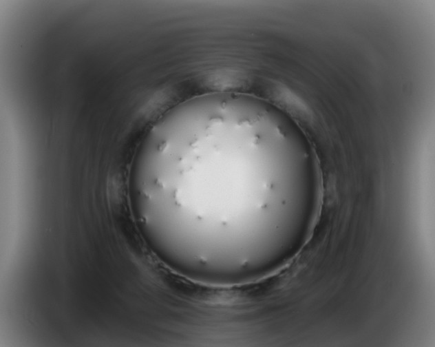 X0000086780210200704201830