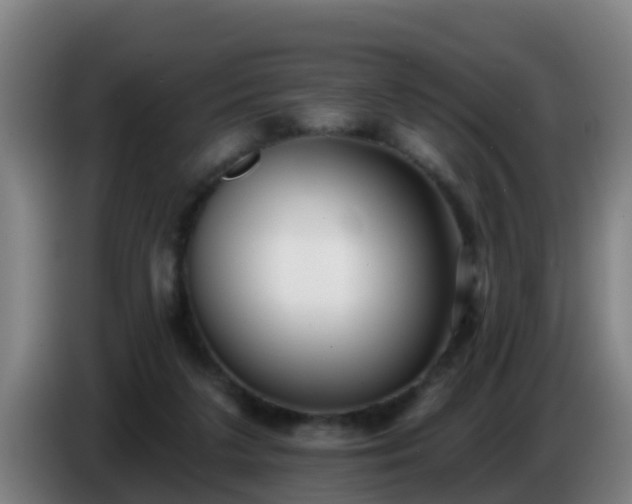 X0000086780211200704201830