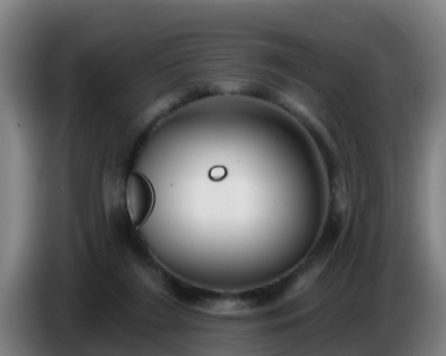 X0000086780212200704201830