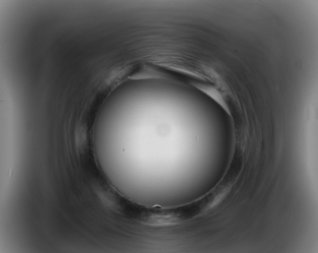 X0000086780213200704201830