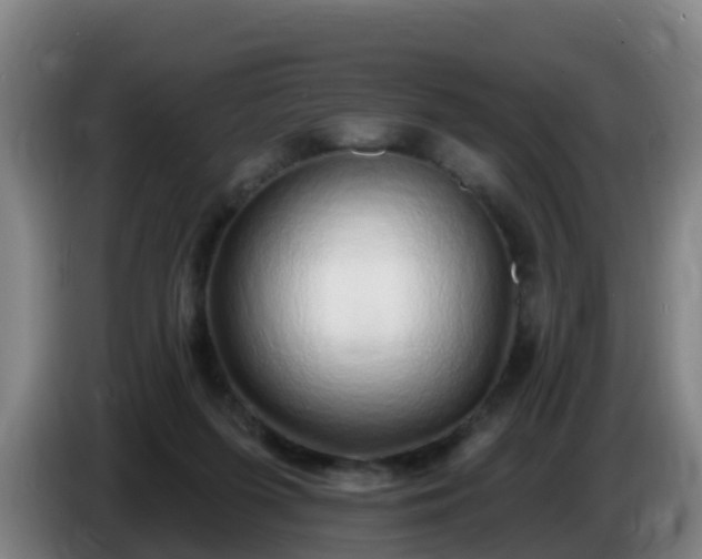 X0000086780215200704201830