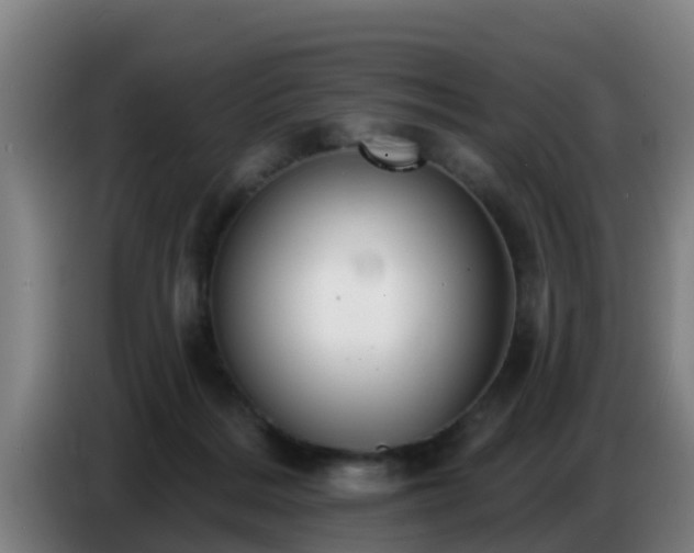 X0000086780220200704201830