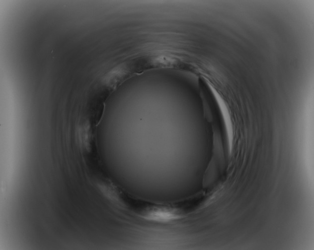 X0000086780223200704201830