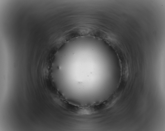 X0000086780226200704201830