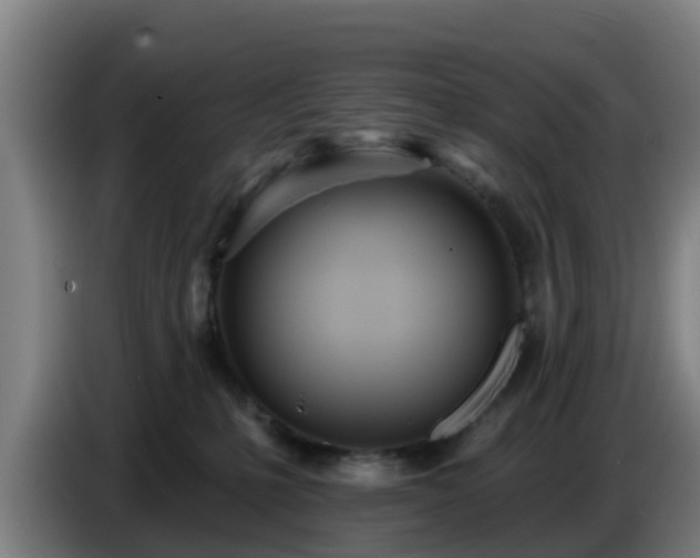 X0000086780231200704201830