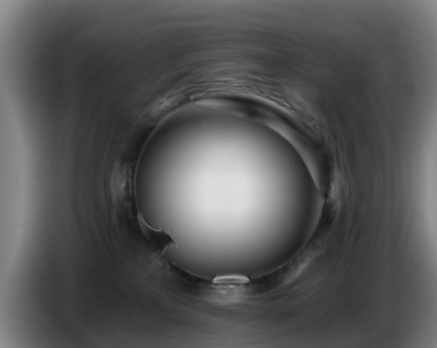 X0000086780233200704201830