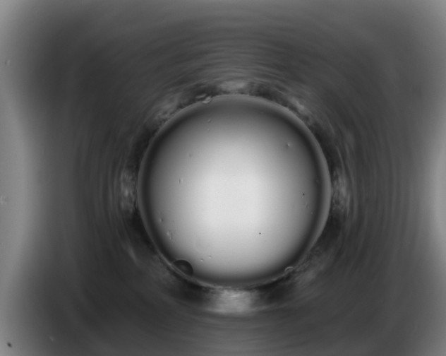 X0000086780234200704201830