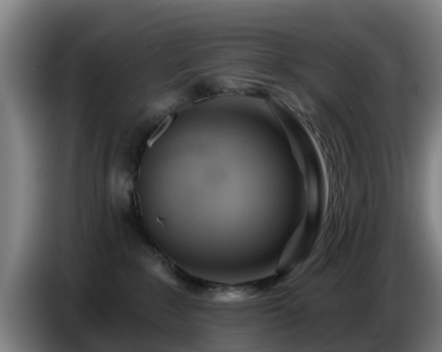 X0000086780235200704201830