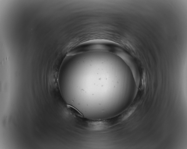 X0000086780237200704201830