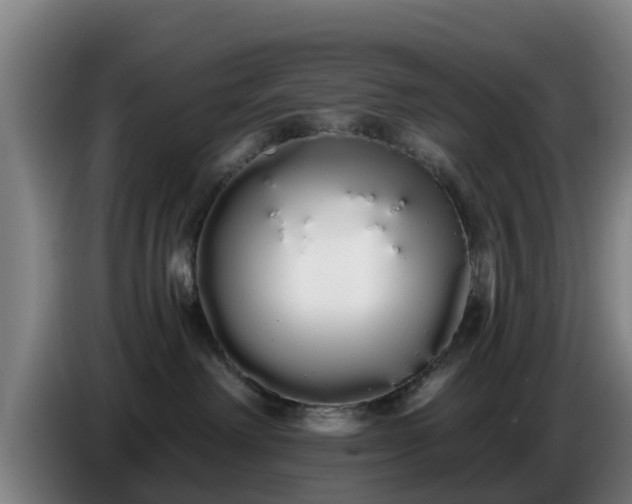 X0000086780238200704201830