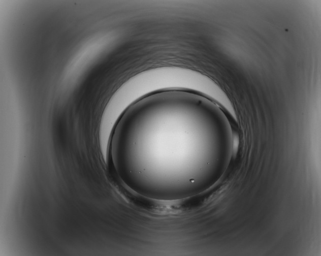 X0000086780239200704201830