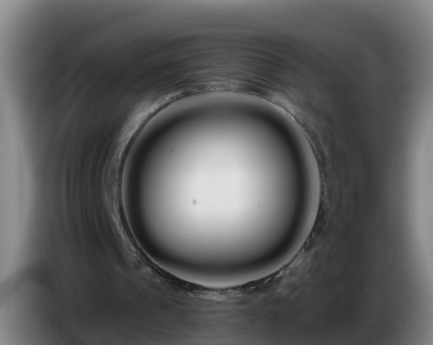 X0000086780241200704201829