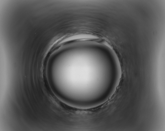 X0000086780242200704201829