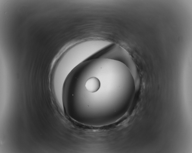 X0000086780244200704201829