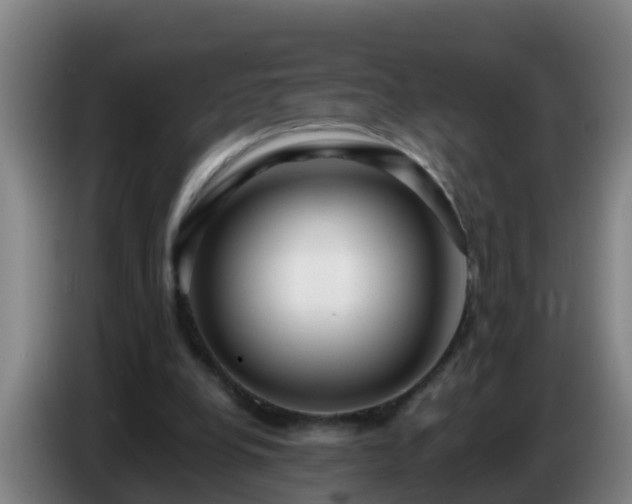 X0000086780248200704201829