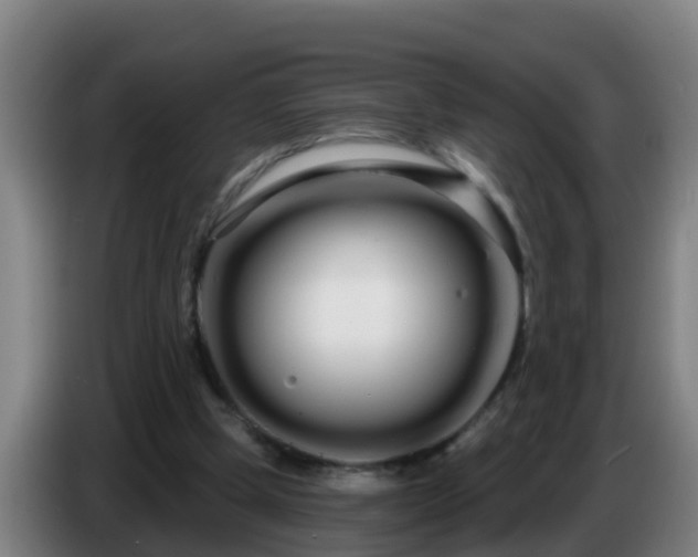 X0000086780249200704201830