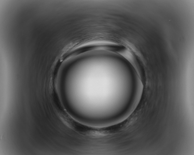 X0000086780250200704201830