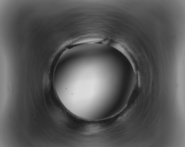 X0000086780252200704201830