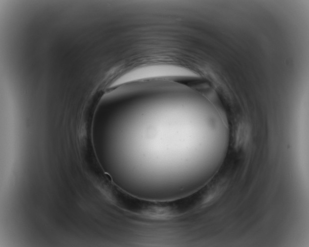 X0000086780260200704201830