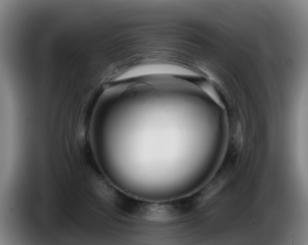 X0000086780261200704201830